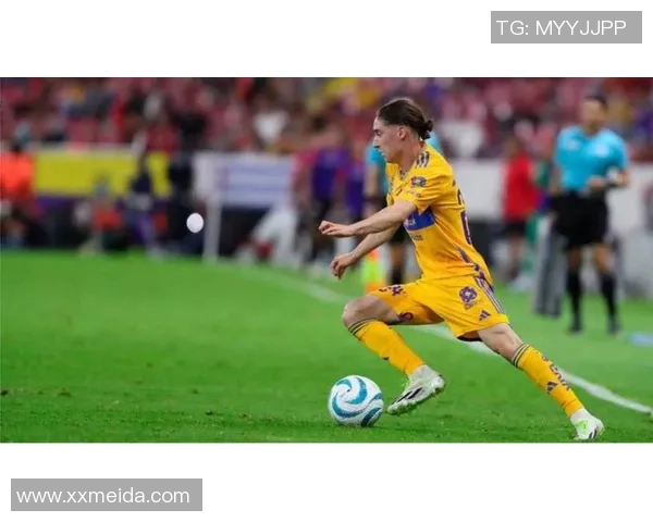 蓝十字与老虎大学对决前瞻及比分预测分析，谁能赢得这场激烈比赛